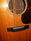 D-21 Martin 1965 Acoustic Guitar