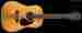 10d1235 D12-35 Anniversary Martin 242
