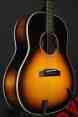 D300a Acoustic Guitar Avalon