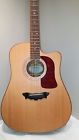D52swce Washburn Timbercraft Acoustic Guitar