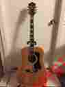 D55nt Guild D 55nt