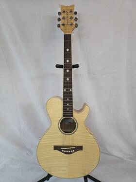 6263 Daisy Rock Wildwood Model #6263 3/4 Size Acoustic Guitar With Case