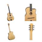 Dg-250m Dg250m Professional Gypsy Jazz Guitar 688382002180 Dg-250m Dg250m Professional Gypsy Jazz Guitar 688382002180