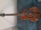 Disconcemh Breedlove Discovery Concert Ce