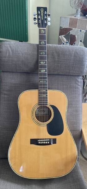 Don Cortez J-6500 Vtg 1970s Acoustic Guitar - Solid Spruce Top Maple Back/sides
