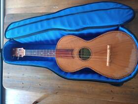 M90mq Don Cortez Leon Jarocho