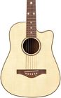 Dr6262-u Daisy Rock Wildwood Acoustic Guitar Purple Daze 038081277967