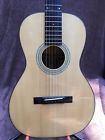 E10p Eastman Acoustic Guitar