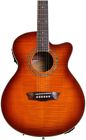 Ea15itb-a-u Washburn Ea15 Ice Tea 801128026312