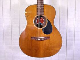 M2537248 Eastman Pch2-tg