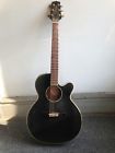 Eg140sbc Takamine Acoustic Electric Guitar