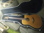 Eg340c Takamine Guitar With Hardcase
