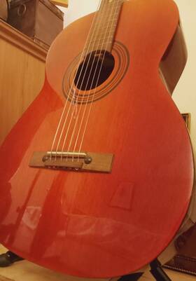 Ette1 Eko Acoustic Parlor