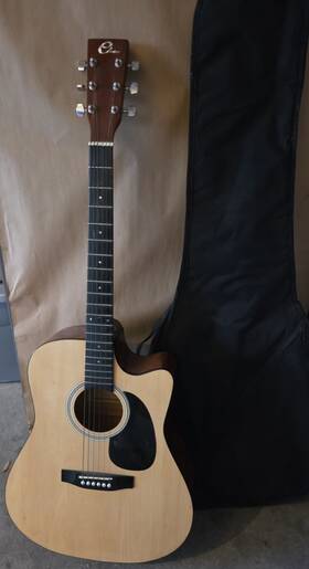 Eleca Dag5cn Dreadnought Acoustic Guitar Spruce 6 String With Gig Bag