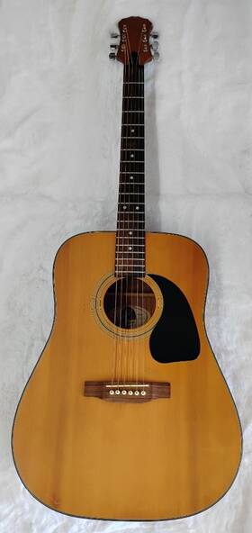 50-pr200 Epiphone #50-pr200 Case Vintage Pr200 Acoustic Guitar With Chipboard - Made In Korea