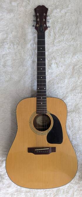 87-pr200 Epiphone #87-pr200 Bag Pr200 Artist Dreadnought Acoustic Guitar With Gig