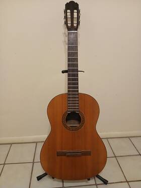 Ec-15 Epiphone Entrada Acoustic Guitar