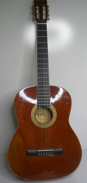 Esteban G-200 Cognac Color Classical Acoustic Guitar