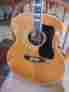 F50r Guild F 50 R 1975 Vintage Classic Rosewood