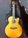 F560 Santa Cruz Guitar 12 String