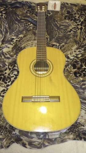 Cg068 Fantasie Music Instrumemt Acoustic Guitar 6 String