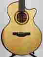 Fe-12-16-152 Schenk 12 String Acoustic W Ohsc In Great Shape