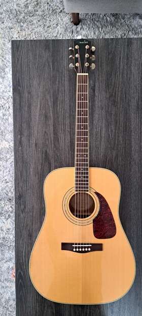 Dg-100 Fender