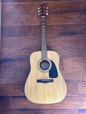 Ds-8s Fender Nat