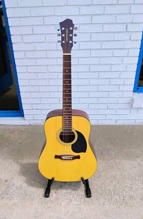 D30n Fernandes Palisade Acoustic Guitar With Chip Case -ll