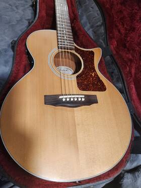 S4ce Fishman U.s. Guild Songbird With Upgrade