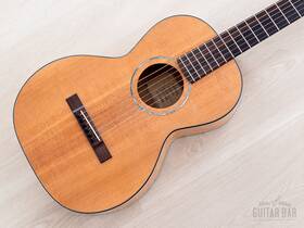 Dp40 Flammang Guitars David Boutique 12 Fret Parlor Guitar Lutz Spruce With Case
