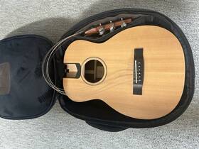 Lj-10sr Furch Little Jane Rosewood