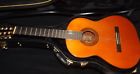 G-100a Yamaha Acoustic Guitar Hard Shell Case