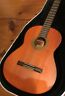 G-150a Yamaha Acoustic Guitar Cases