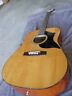 G-310 Goya Guitar