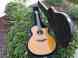 G23cr Guitar Acousticstonebridge