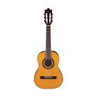Ga1 Ibanez Classical Series Acoustic 606559806287