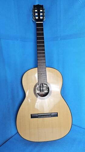 Giannini Awnc2 Acoustic Guitar 1973