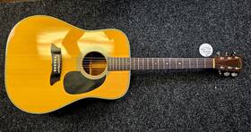 F-363 Gibson 1979 Takamine
