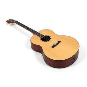 Tg-18 Gold Tone 197881426866 Mastertone Tenor Guitar With Vintage Design And Bag Ob