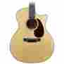 Gpc18e Martin Acoustic Electric Guitar