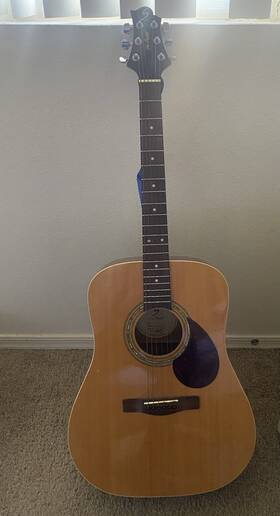 S130503549 Greg Bennett Design D-2 Acoustic Guitar