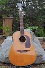 H-1260 New Jumbo Harmony Stunning