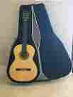 H-15 Takamine Hidrade In Mint Condition
