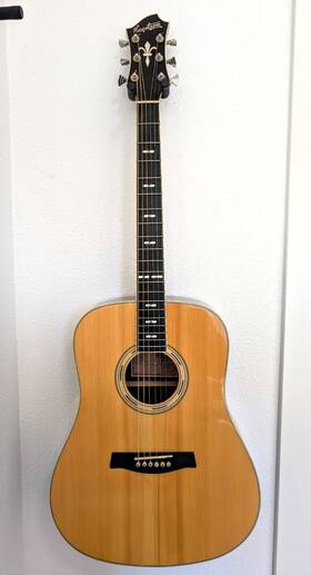 Ams-d35 Hagstrom Acoustic