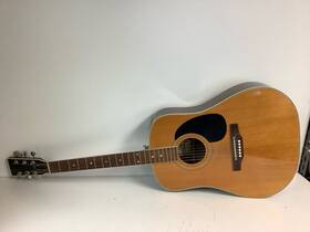P24019034 Harmony Guitars H6600