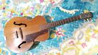 Harmony Vintage Biltmore Savory String Archtop Mahogany Guitar