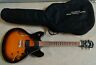 Hb30ts Washburn Electric Guitar Semi Hollow Tobacco Sunburst Padded Gigbag