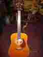 Hd-18jb D-18 Martin Jimmy Buffett Signature Model