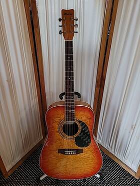 420g-cs Hohner Hw Acoustic Guitar